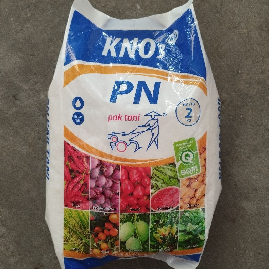 Pupuk KNO3 PN (2 kg)