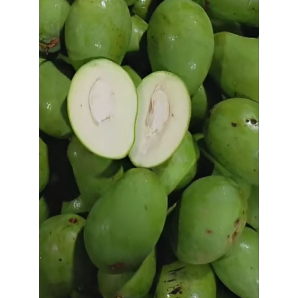 

(Promo Hari ini) Mangga Muda Grosir Fresh