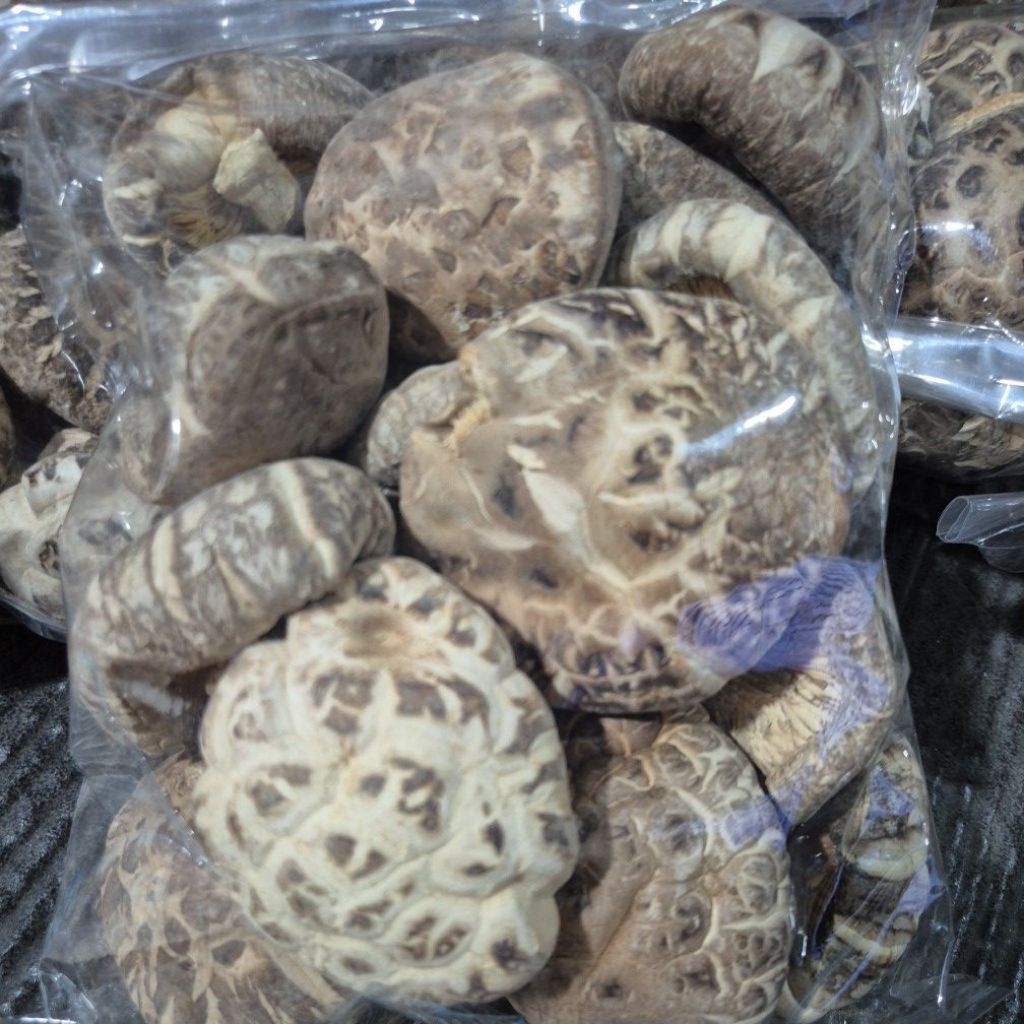 

Jamur hioko-shitake-kering-besar-shiitake 500gram