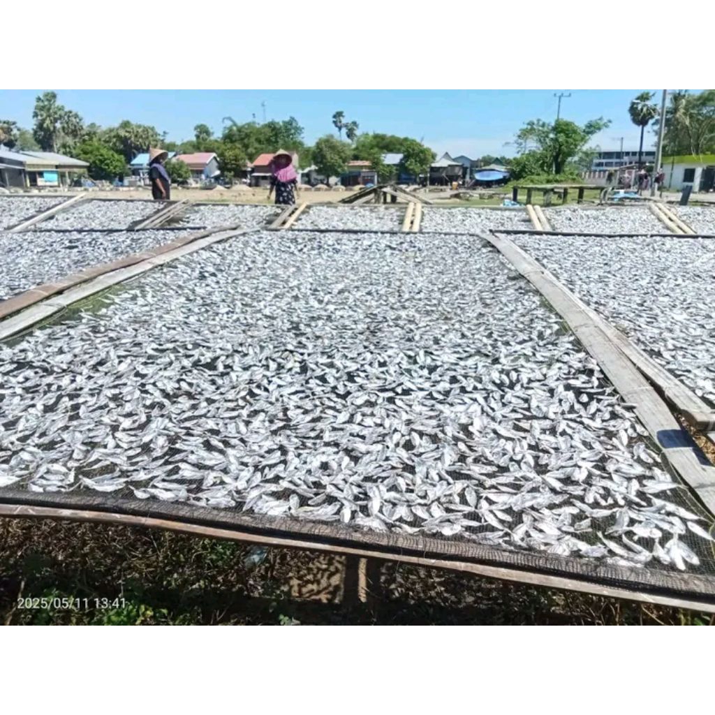 

ikan bete bete kecil halus 1kg
