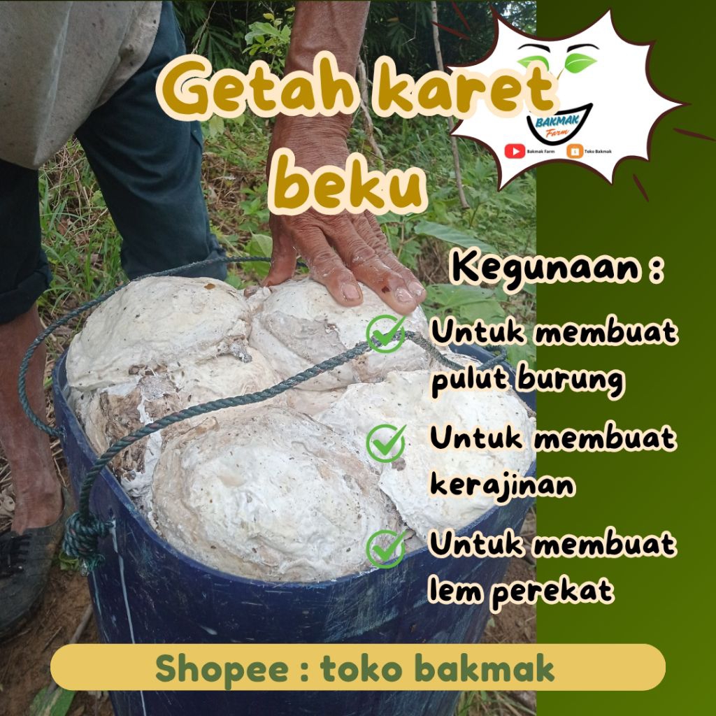 GETAH POHON KARET LATEK LATEKS LATEX BEKU bidor balam bendo cair kawat topi sepatu kebun lem pulut p