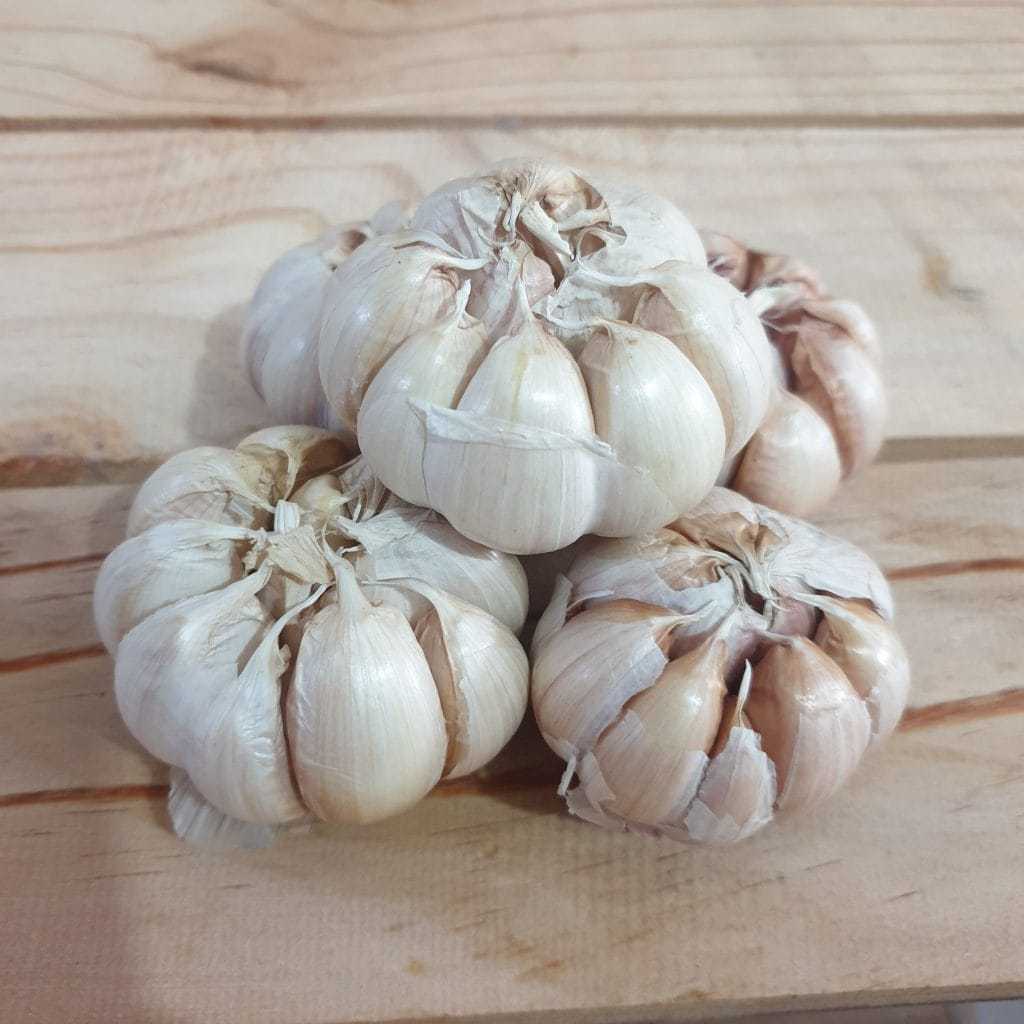 

1 Kg Bawang Putih Honan / Banci , Bumbu Masak