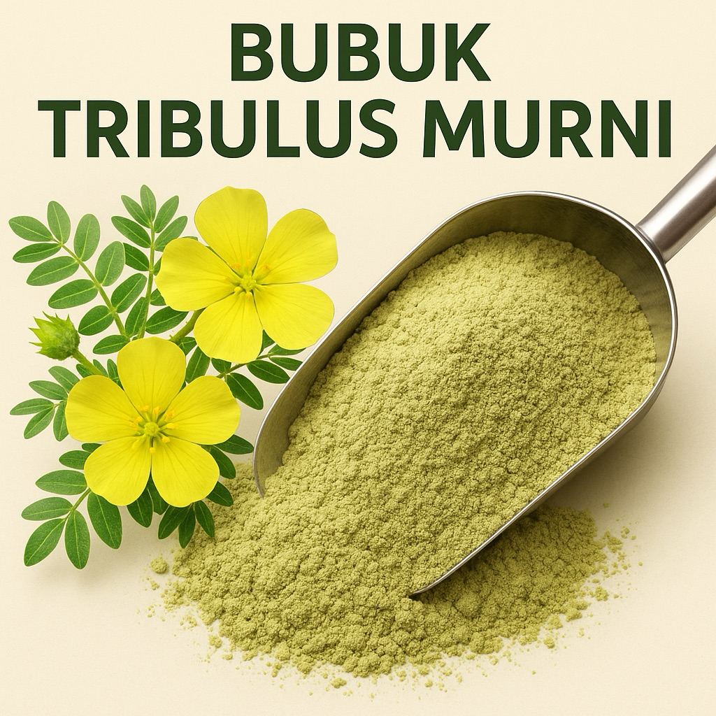 

Bubuk Tribulus Terrestris – Herbal Alami kemasan 500gr
