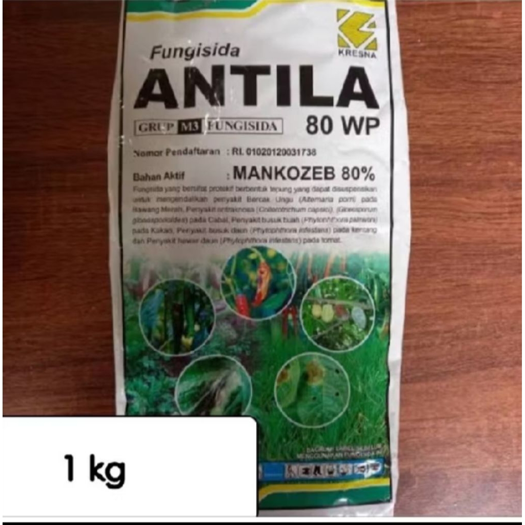 ANTILA 80 wp