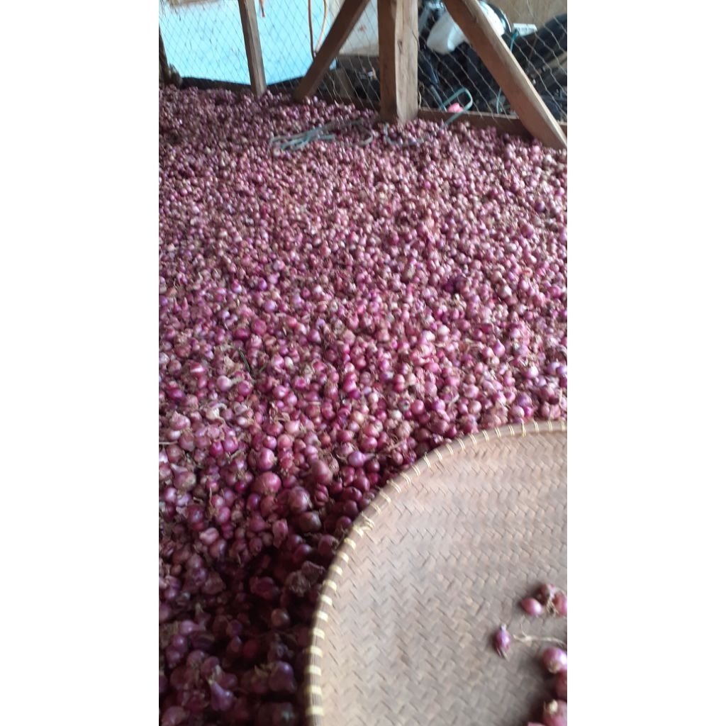

bawang merah/bumbu dapur/kemasan 1 kg