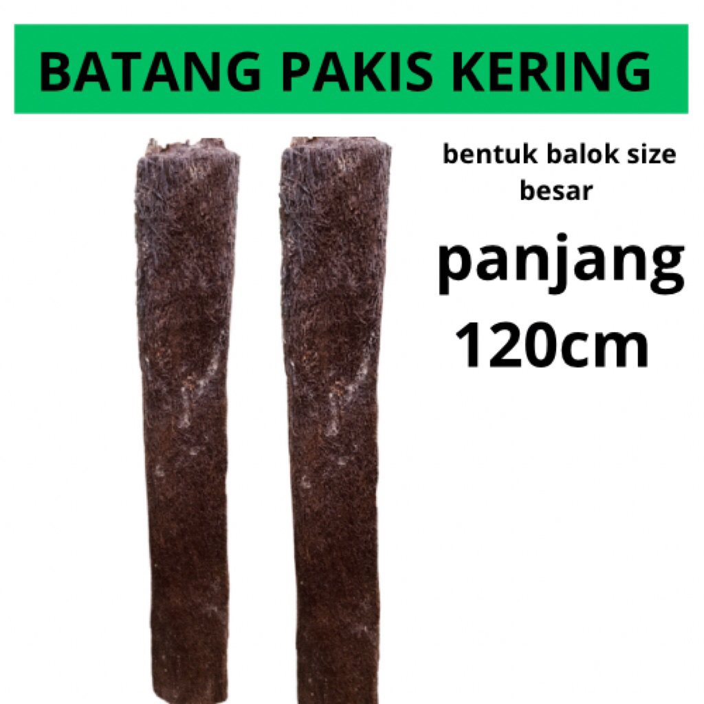 Media tempel anggrek batang pakis