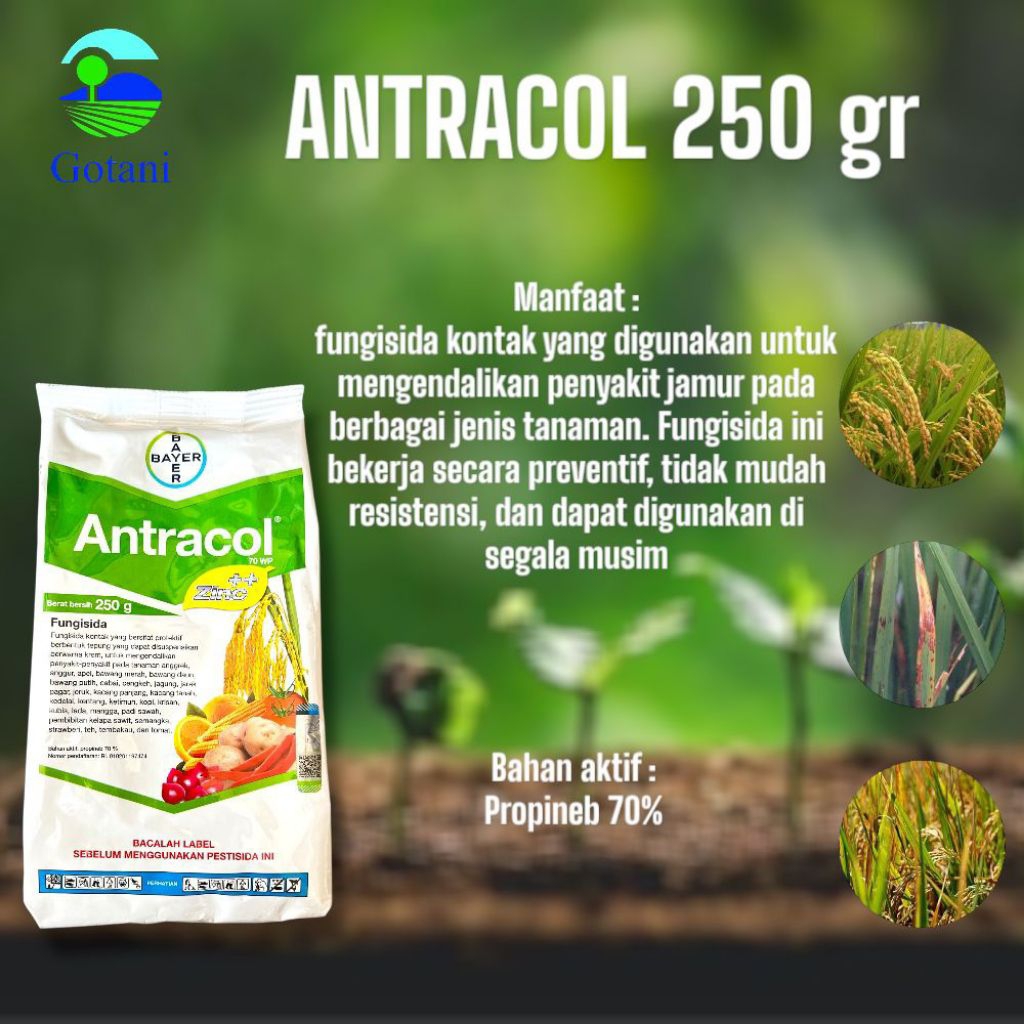 FUNGISIDA ANTRACOL 250GR