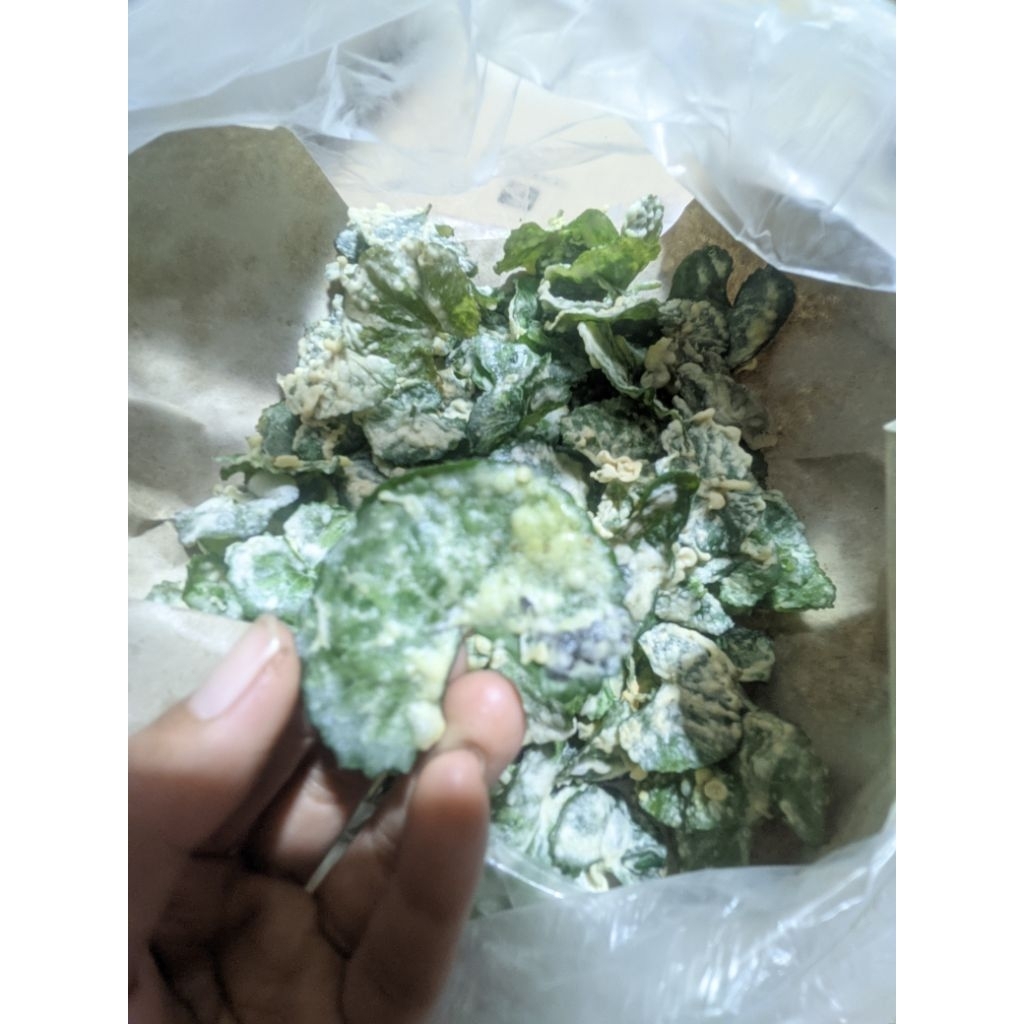 

KERIPIK PEGANGAN RENYAH GURIH TEMEN NYEMIL