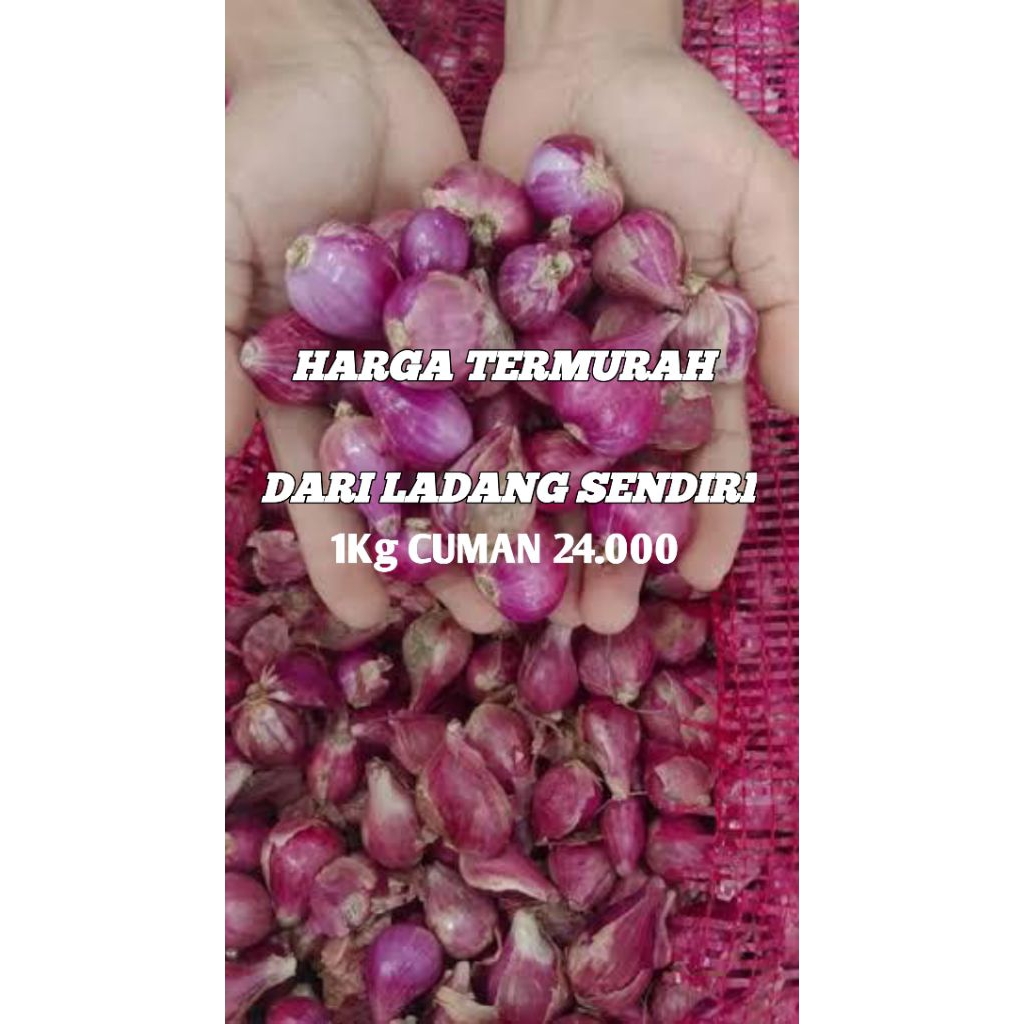 

BAWANG MERAH JAWATIMUR
