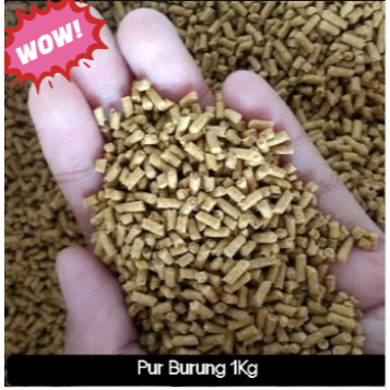 Pur Burung Jalan Trucukan Kutilang (Repack)