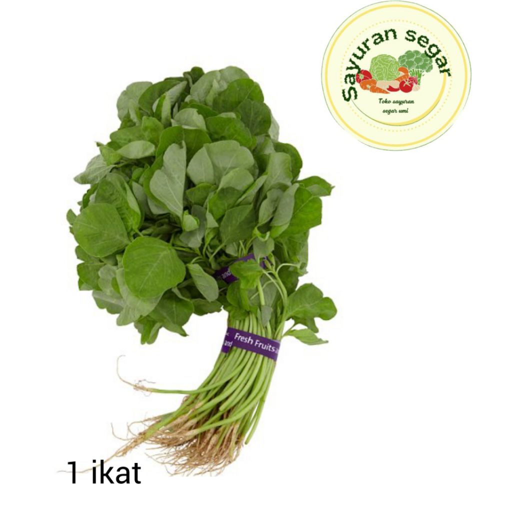 

sayur bayam 1ikat