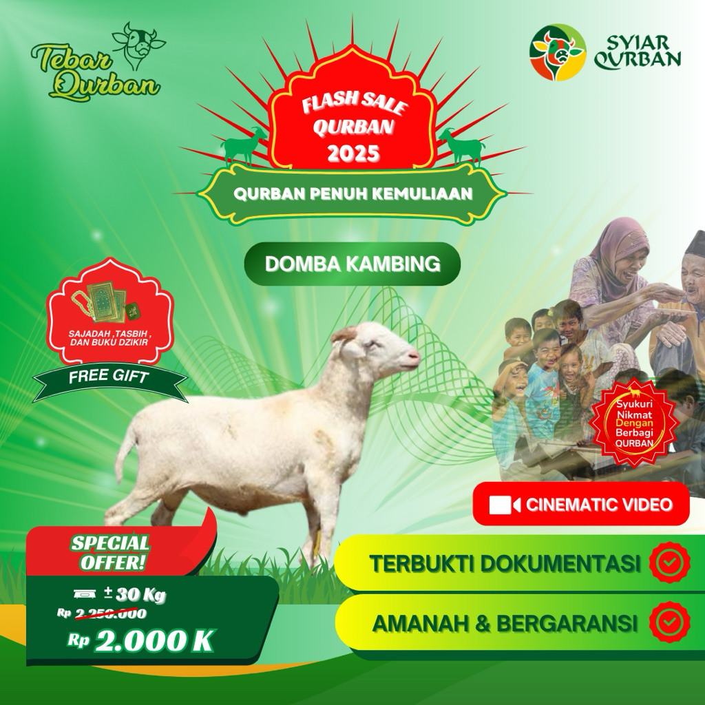 

Domba Kambing Qurban Exclusive -+30kg Full Distribusi