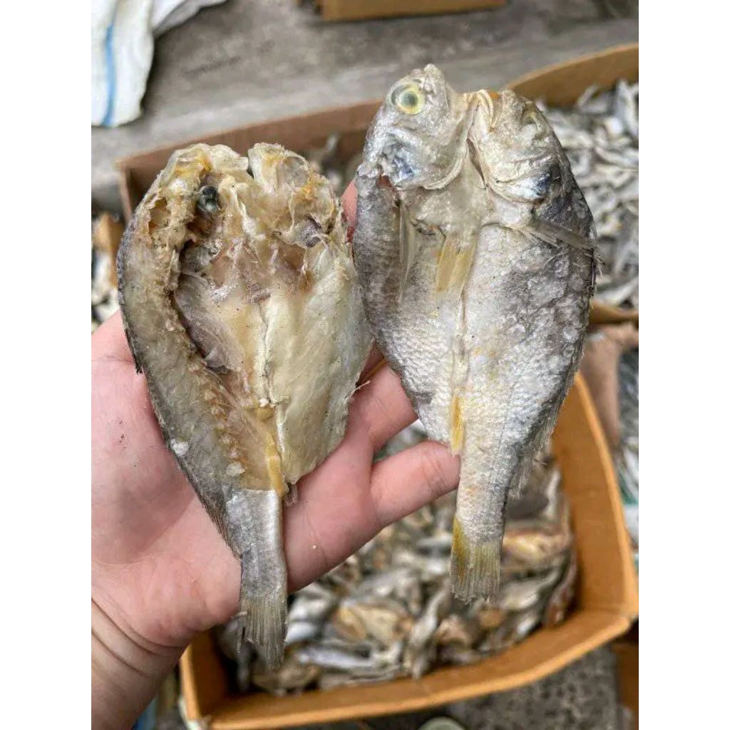 

ikan asin belah 1kg murah