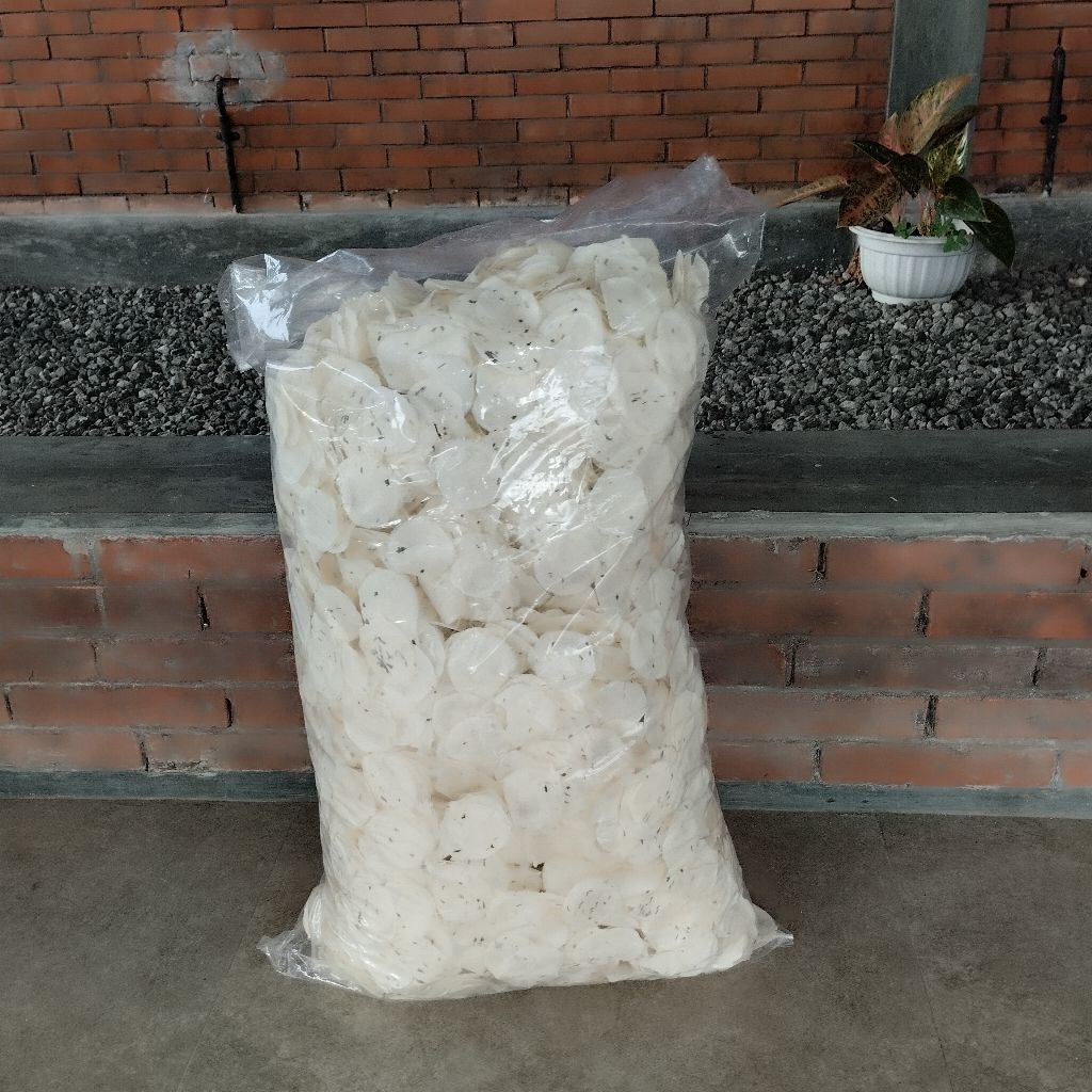 

opak mentah koin super renyah dari singkong pilihan