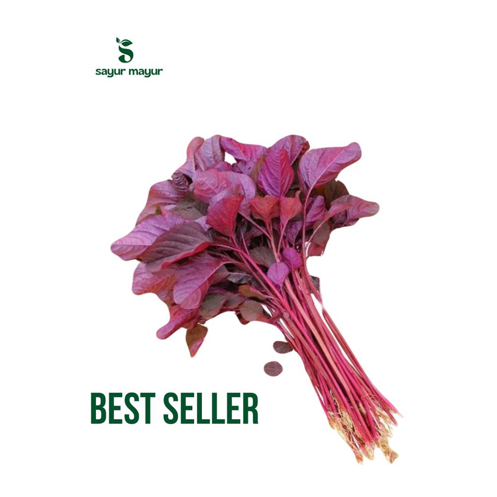 

Bayam Merah Segar / Bayam Merah Fresh 1 ikat