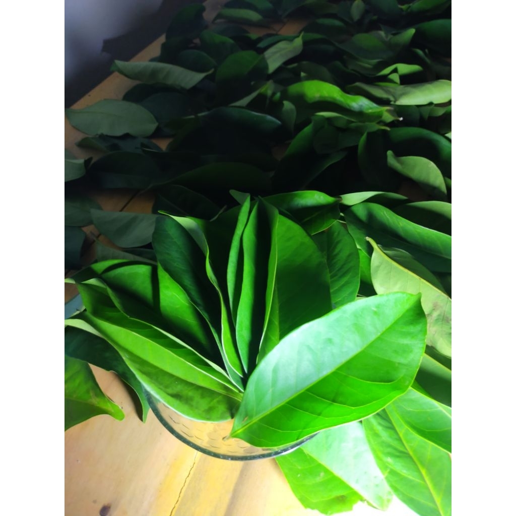 

Daun Salam segar 1kg