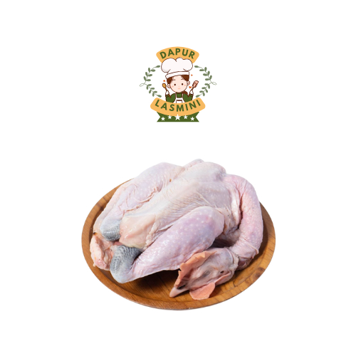 

Ayam Kampung 1 Ekor