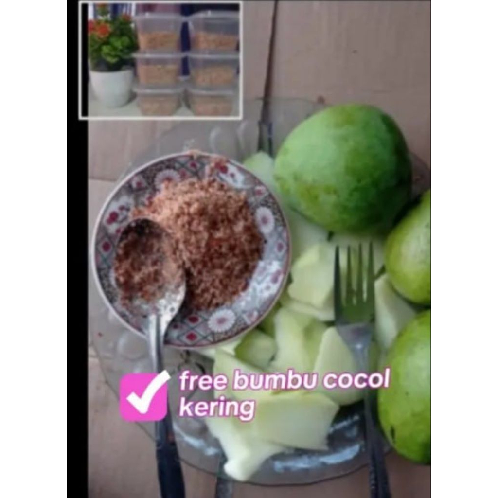 

mangga muda+ bumbu rujak 1kg campur