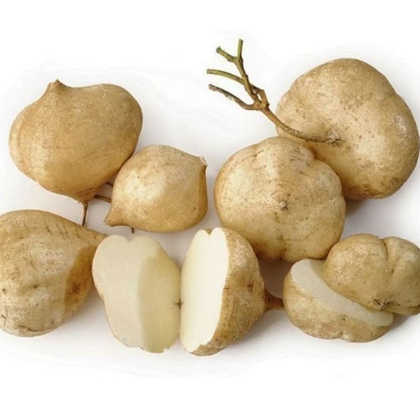 

INSTAN KOTA JAMBI Bengkuang / Bengkoang 1kg