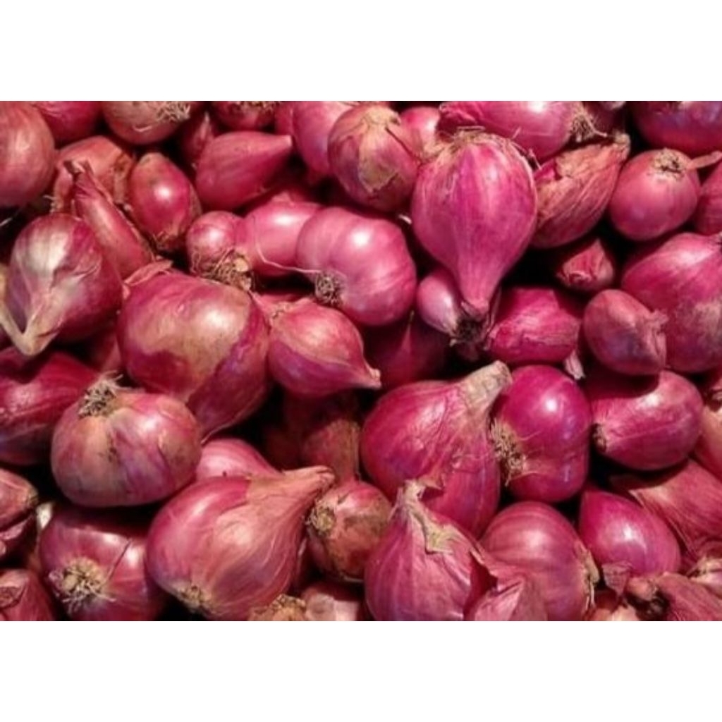

Bawang merah 1 kg