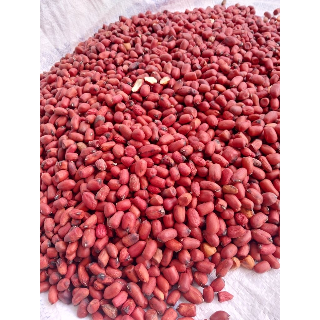 

kacang tanah Kupas Super 1kg