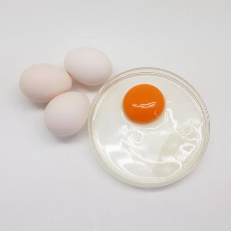 

Telur Ayam Kampung OMEGA (Harga Perbutir) INSTAN/ SAMEDAY ONLY FRESH