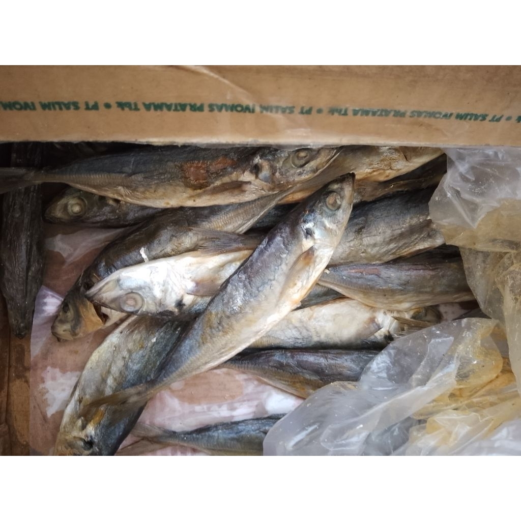 

ikan asin japuh enak dan berkualitas