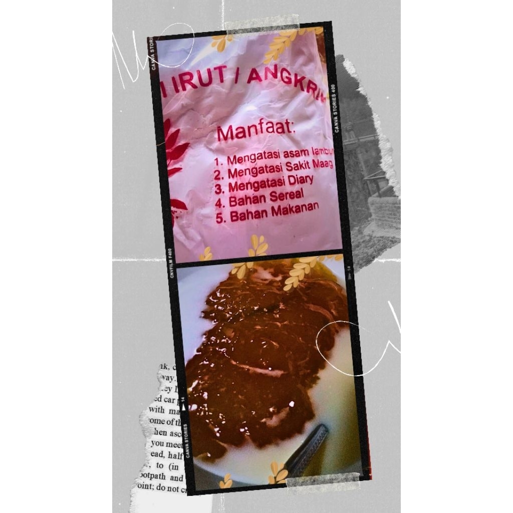 

PATI GARUT/IRUT ASLI OBAT ASAM LAMBUNG BERAT 500gr