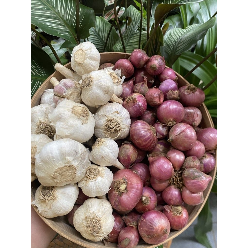 

paket bamer batu karet ½kg + baput kating ½kg(BE)
