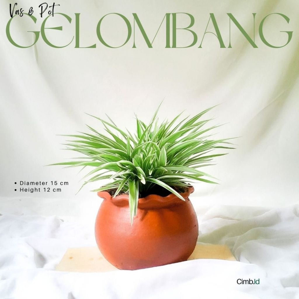 Pot Tanah Liat/Pot Unik Teracota/Pot Gelombang Tanah Liat Tanaman