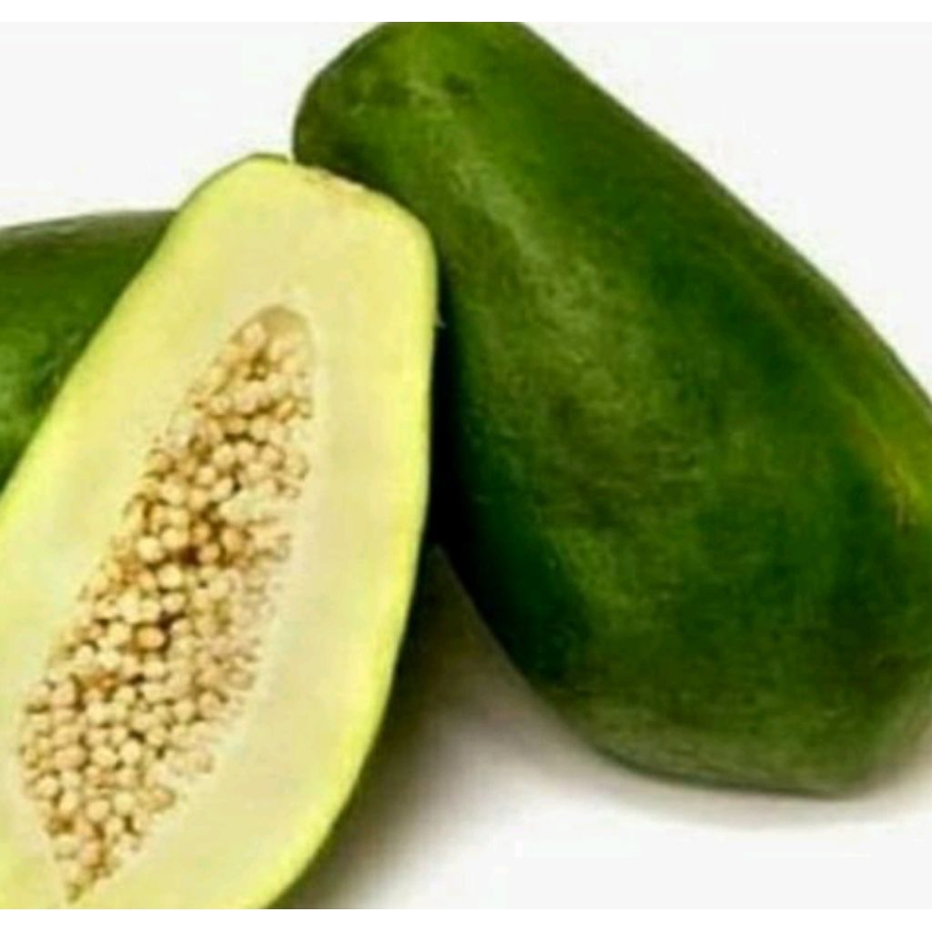

buah pepaya sayur/pepaya muda.500gr.pepaya segar dipetik bila order masuk
