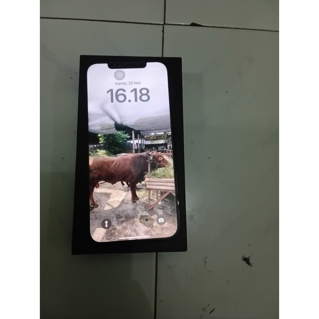 Iphone 12 Pro Max 256