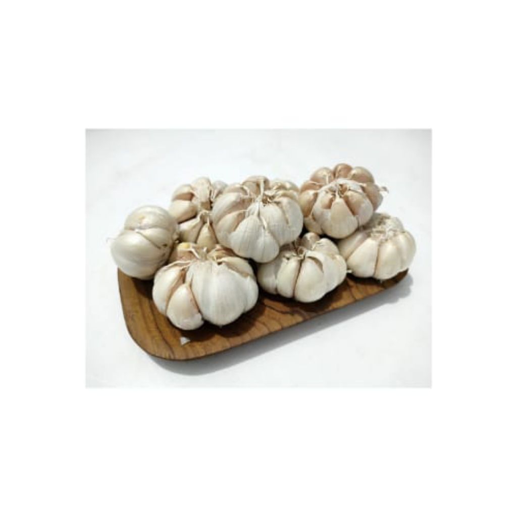 

Bawang putih honan bawang putih banci