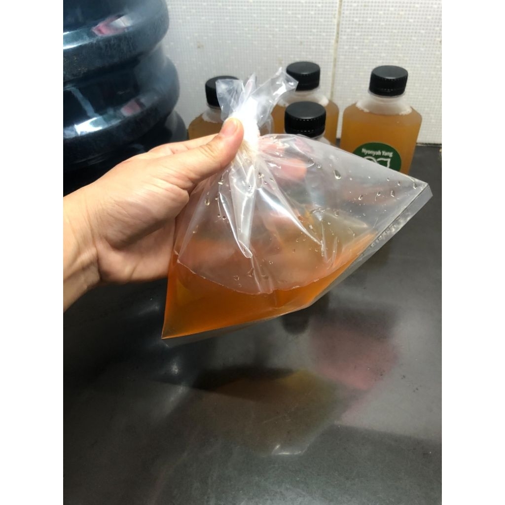 

BIBIT KOMBUCHA ( Extra starter 250ml )