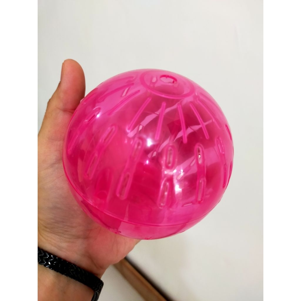 Bola hamster