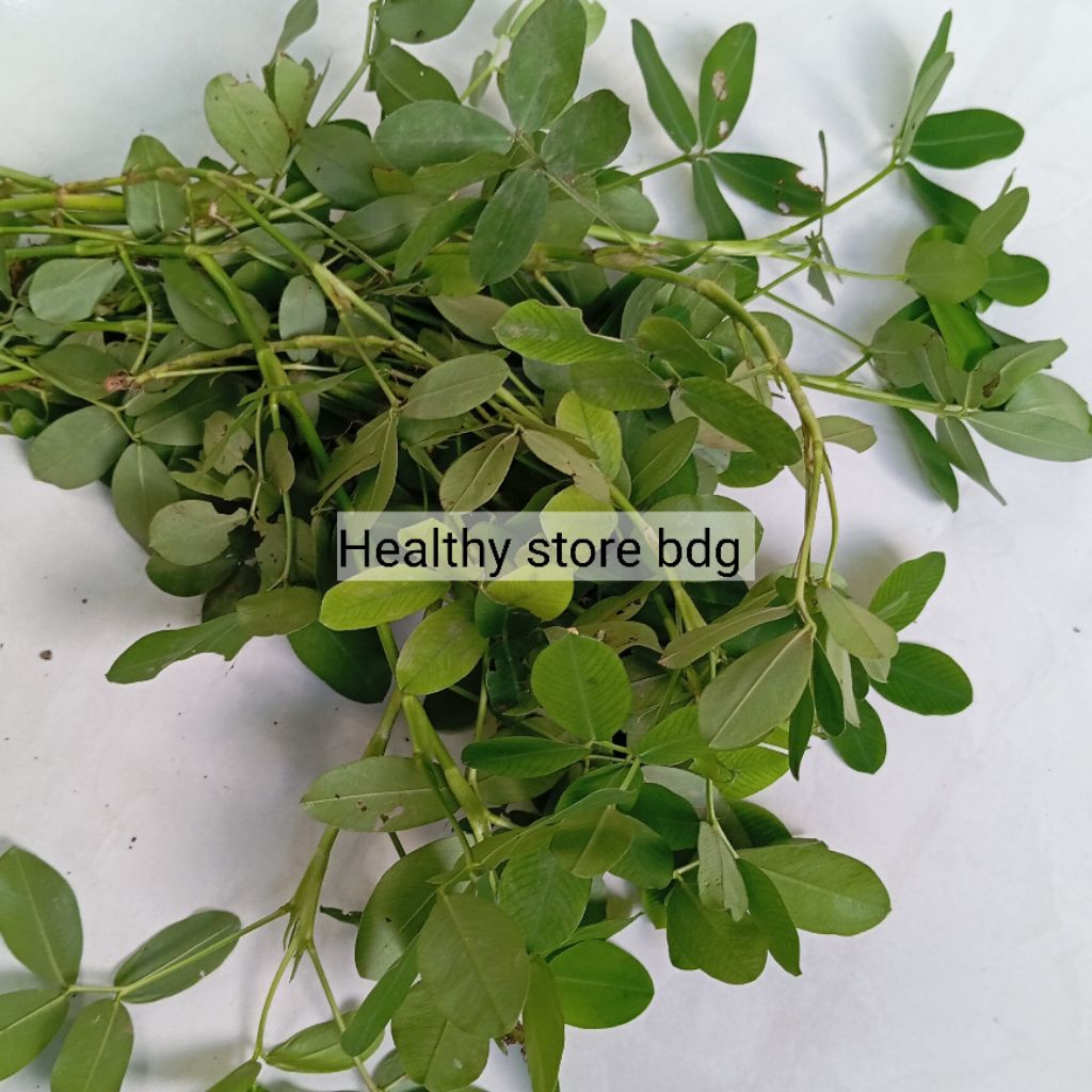 

Daun landep atau kacangan segar petik langsung 500 gram