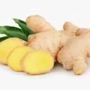 

Jahe 500 g