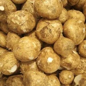 

Bengkoang segar 500 gram