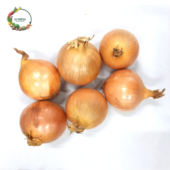

Bawang Bombay Super 1kg murah/Bawang Bombay 1kg
