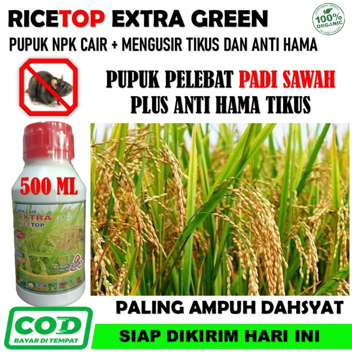 NPK Cair EXTRA GREEN RICETOP Pupuk pelebat padi sawah terbaik - Pupuk organik npk cair memperbanyak 