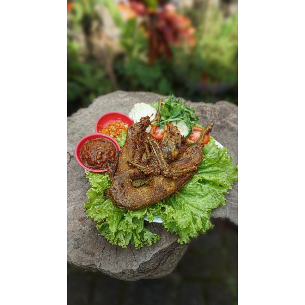 

bebek utuh ukuran sedang