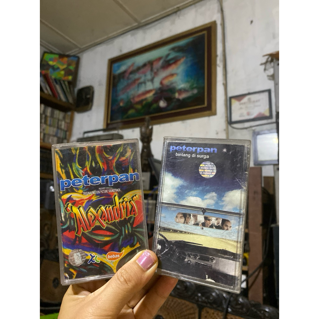 KUMPULAN KASET PITA PETERPAN - TAMAN LANGIT