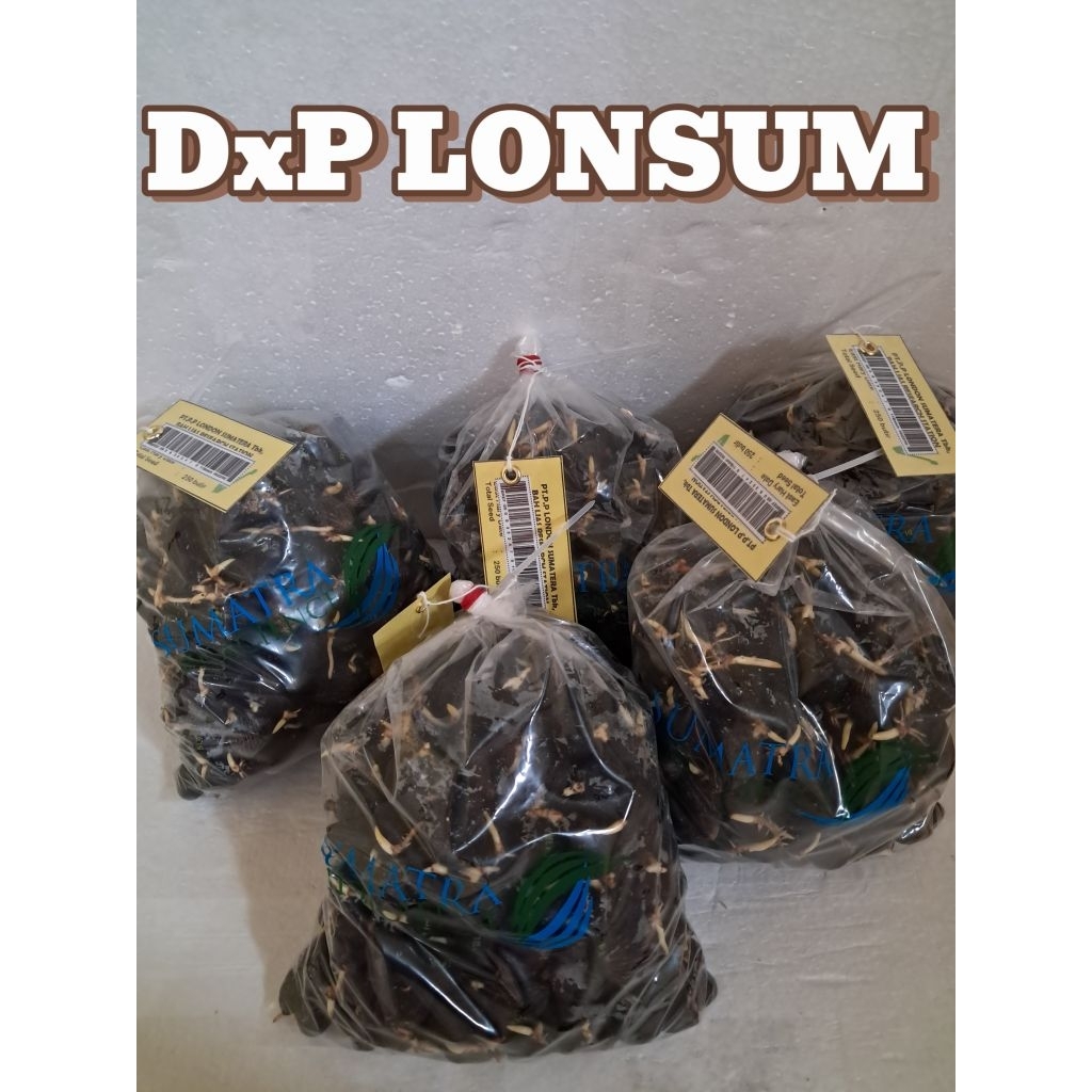(TERLARIS NO.1) BAH LIAS ( LONSUM ) | Bibit Benih  Kecambah Kelapa Sawit Unggul | 250 Butir | COD