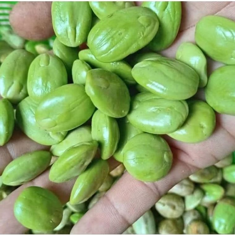 

1KG - PETAI PETE SUPER KUPASAN FRESH & BARU