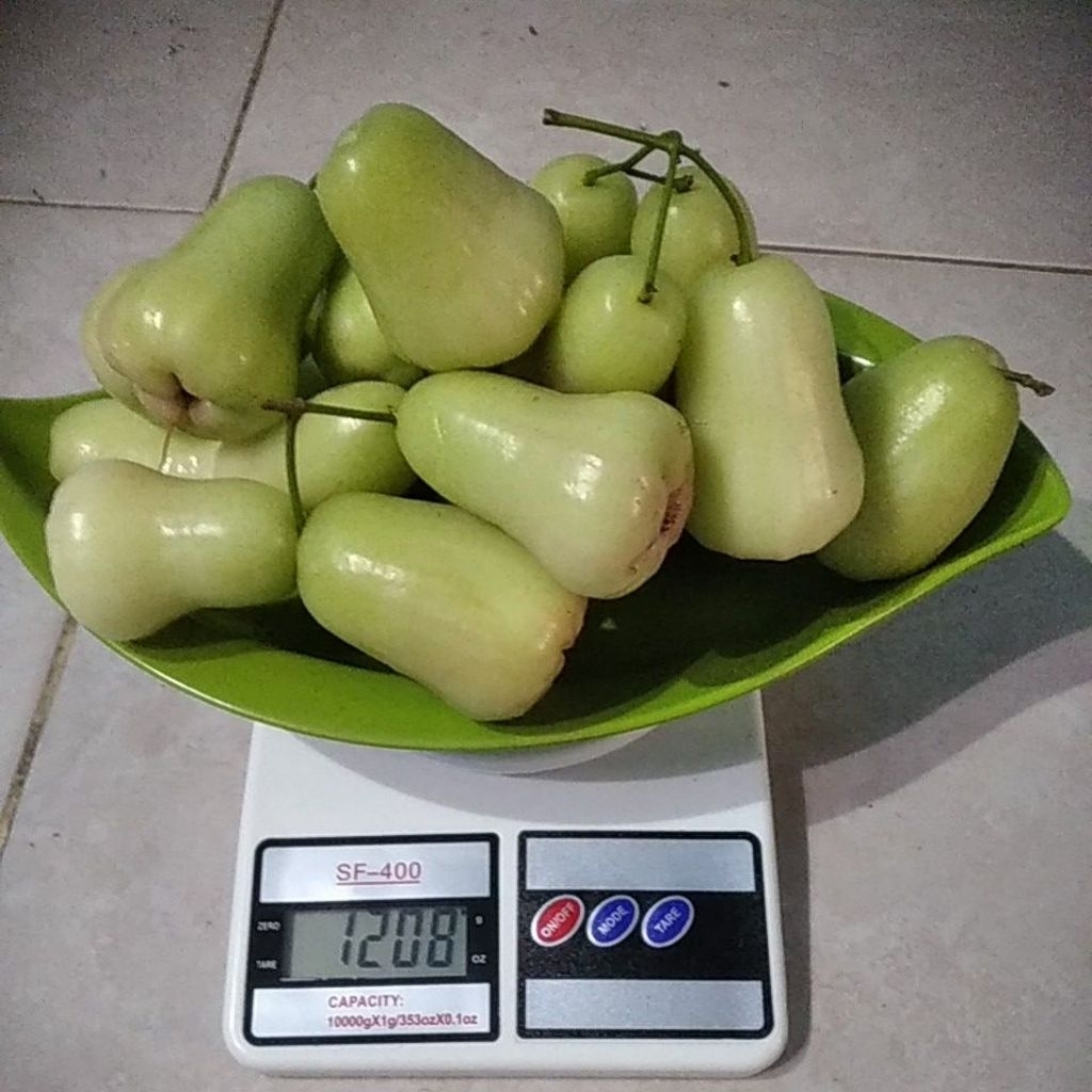 jambu air madu deli hijau 1kg