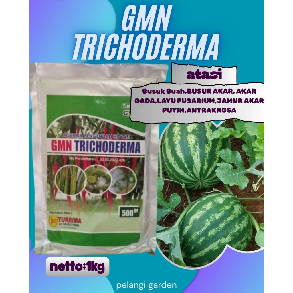 TERBAIK  Trichoderma Biotek, Trichoderma Hamatum Isi 1kg