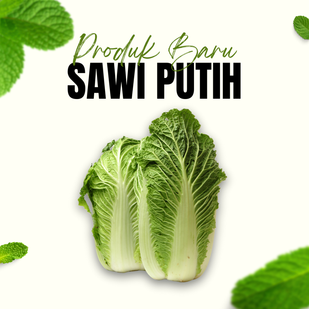 

Sayuran Sawi Putih 100 Gr / Sawi Hijau / Sayur Daun / Sayur Sop / Sayur Asem