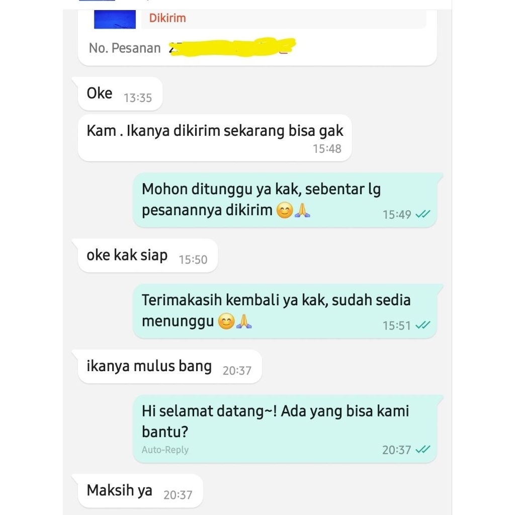 Sellyliavitaliavita Arwana Silver Serat Merah. Ukuran 13 - 15 Cm.