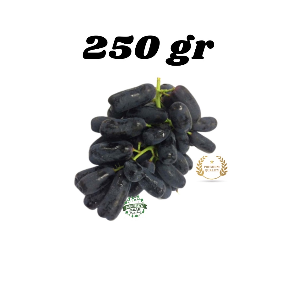 

ANGGUR HITAM AUTUMN MOONDROP SWEET SAPHIRE