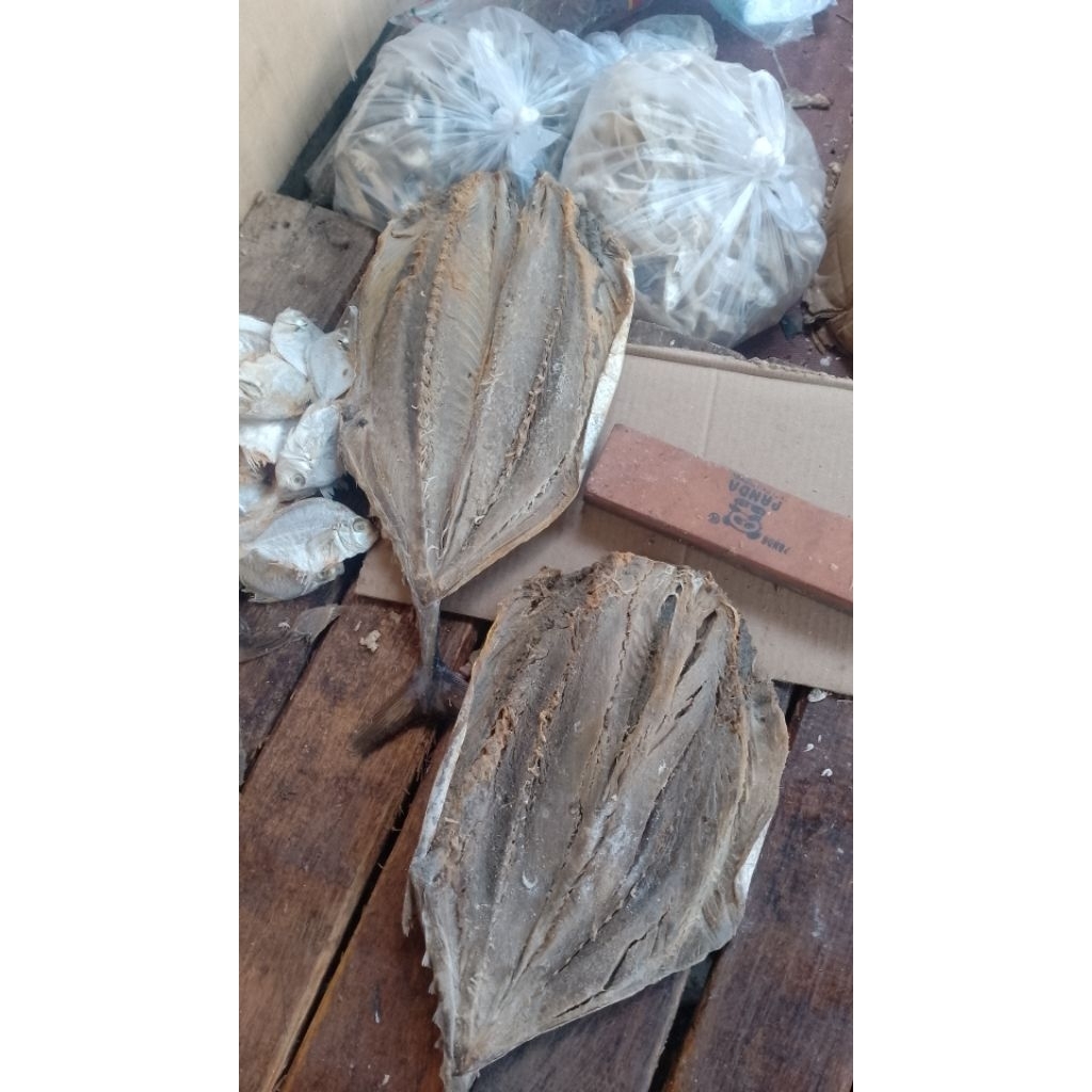 

Ikan Asin Tongkol Batik / Tongkol Asin Batik